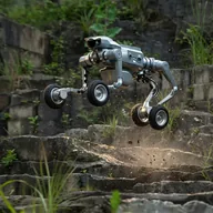 Climbing Robot Dog (UNITREE) token icon