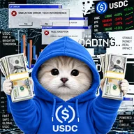 USDC PUMP CAT (UPCAT) token icon