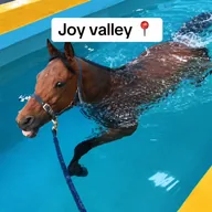 Joy Valley (VALLEY) token icon