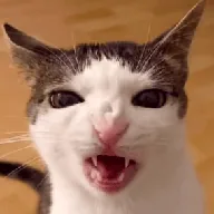 Vampurr (VAMPURR) token icon