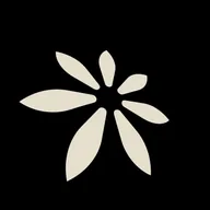 Verge Snowy x402 (VERGE402) token icon