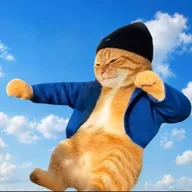 vibecat (VIBECAT) token icon