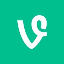 Vine (VINE) token icon