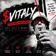 Vitaly Coin (VITALY) token icon