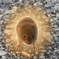 The Leonidan Vole (VOLE) token icon