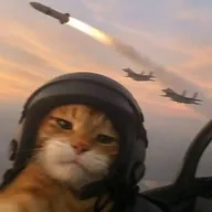 WARCAT (WARCAT) token icon