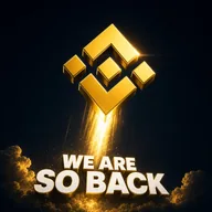 We Are So Back (WASB) token icon
