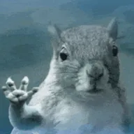 Waving Squirrel (WAVE) token icon
