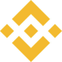 Wrapped BNB (WBNB) token icon