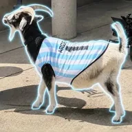The Messi Goat (WESLEY) token icon