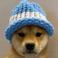 dogwifargentina (WIFARG) token icon