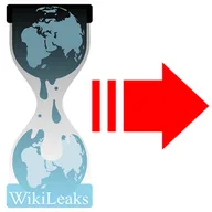 WikiLeaks (WIKILEAKS) token icon