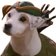 WISHBONE (WISHBONE) token icon