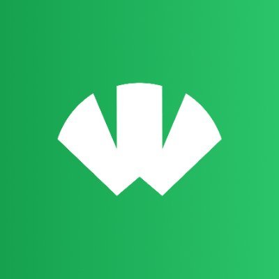 Wizz by Virtuals (WIZZ) token icon
