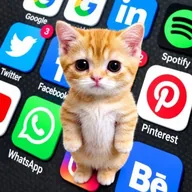 world wide web cat (WWWCAT) token icon