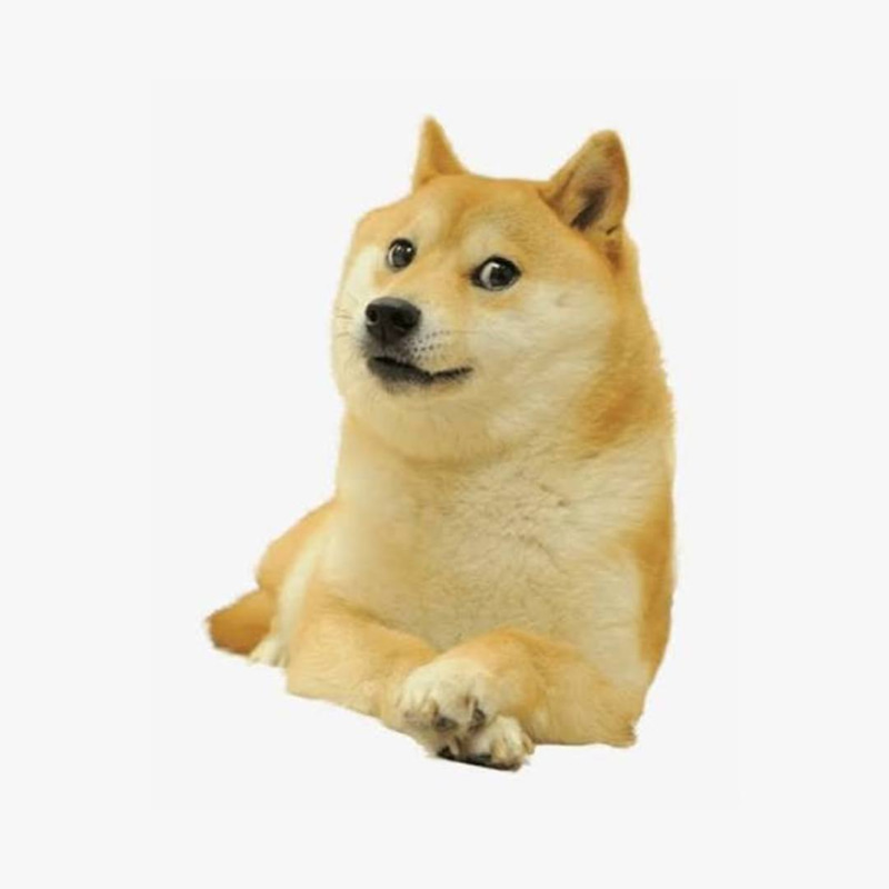 World Record Dog (WRDOG) token icon