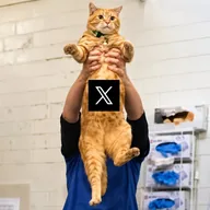 XCAT (XCAT) token icon