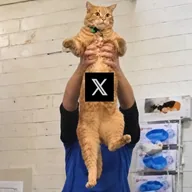 XCAT (XCAT) token icon