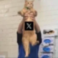 XCAT (XCAT) token icon