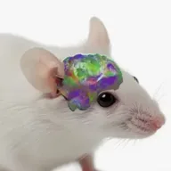 Xenocortical Mouse (MOUSE) token icon