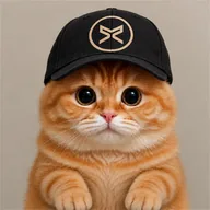 XRP Cat (XRPCAT) token icon