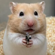yukun the hamster (YUKUN) token icon