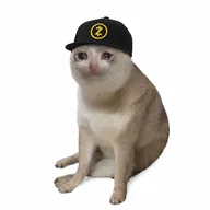 Zcash Cat (ZCASHCAT) token icon