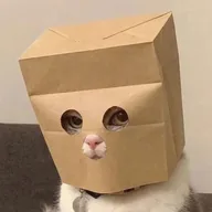 Anonymous Cat (ZCAT) token icon