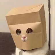 Anonymous Cat (ZCAT) token icon