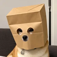 Anonymous Dog (ZDOG) token icon