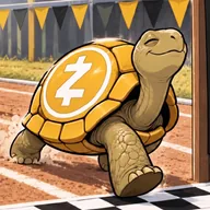 Zortoise (ZORTOISE) token icon